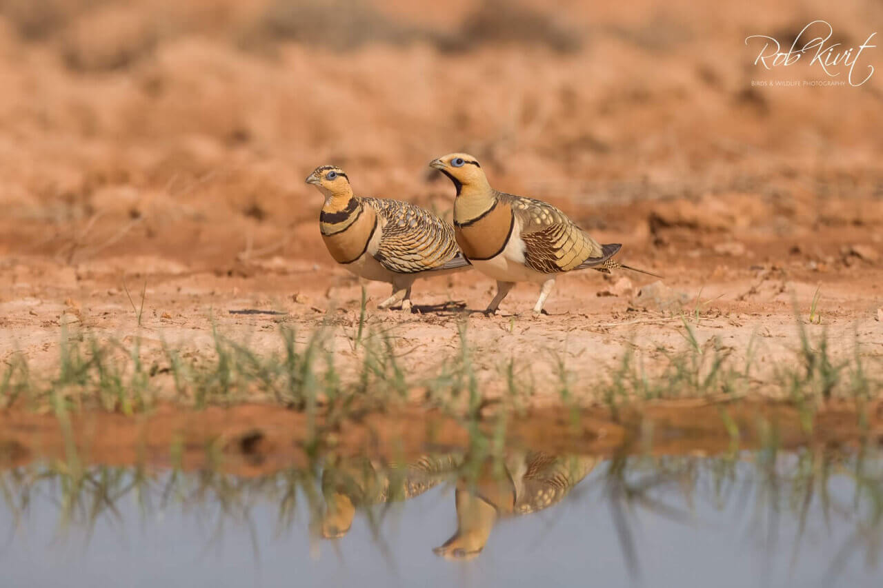 80CD489B-9A26-437A-AA7A-BE4F4F7BAA87