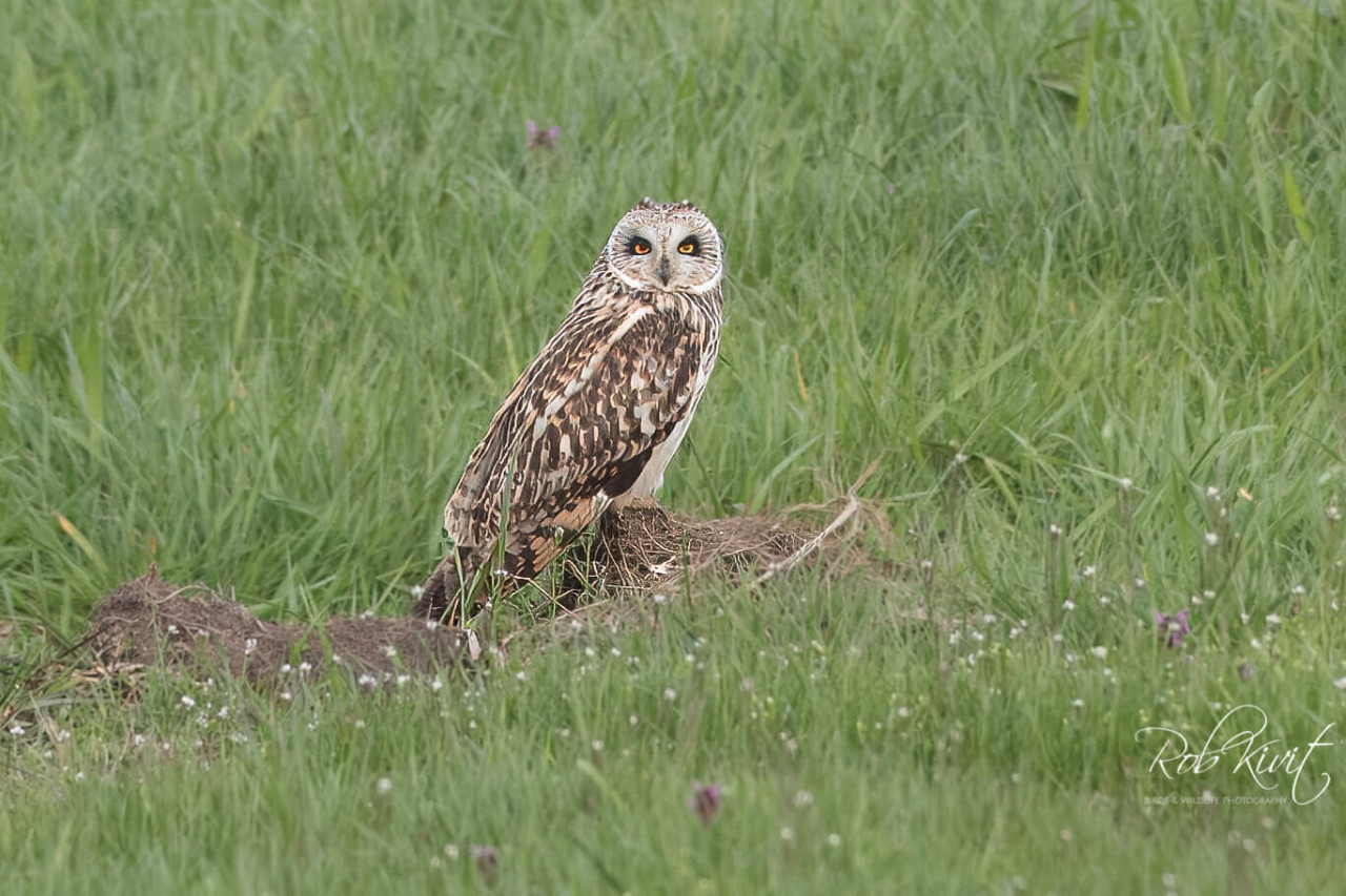 110D9B65-2343-4284-A2A6-0EEC349BB09C