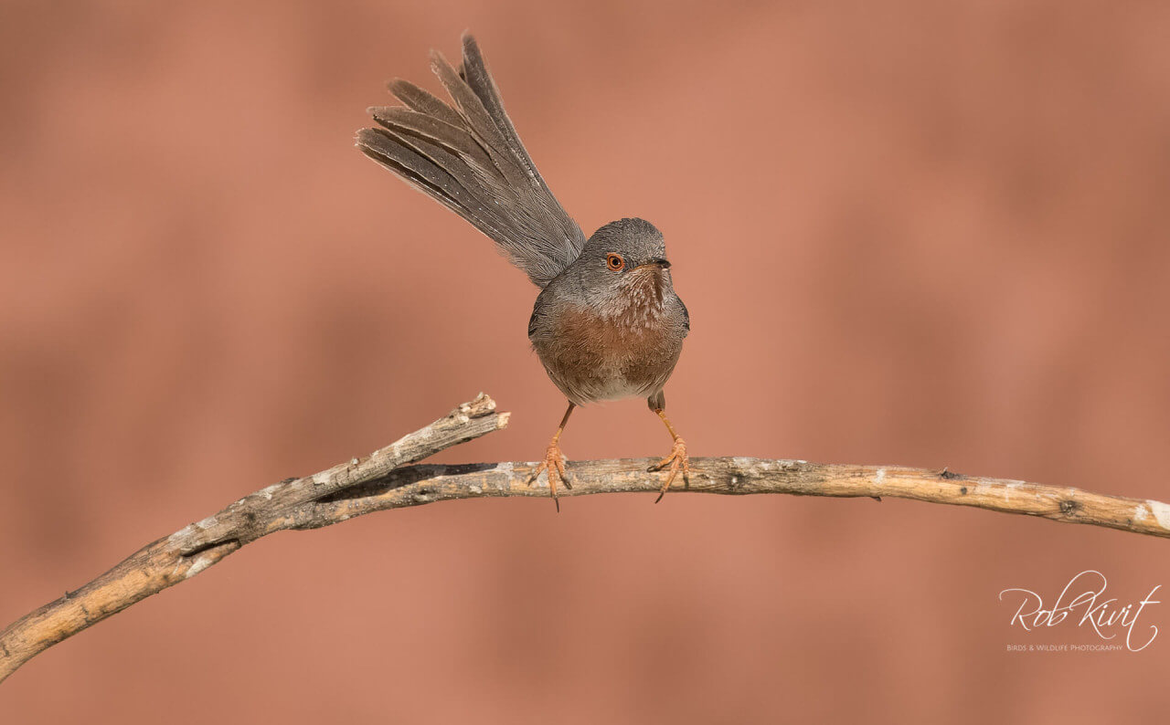 424BFBD6-E299-421E-9B40-45560F5AB1D8