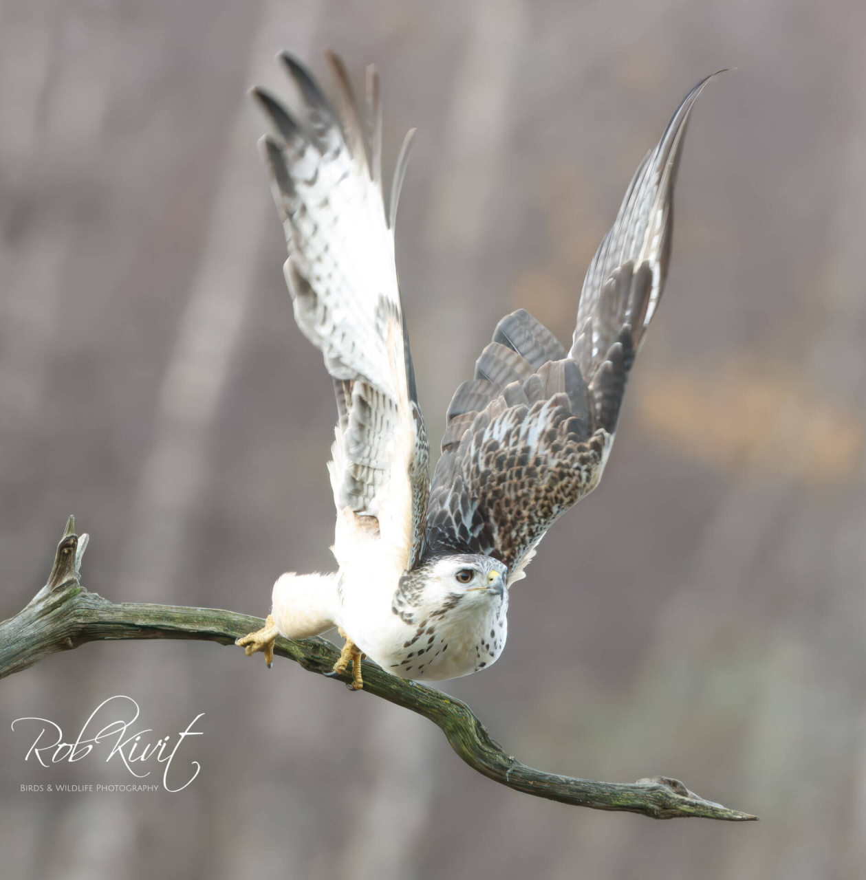 B08E2D1D-C589-43A4-AA0C-E4F1ACF3CEC6