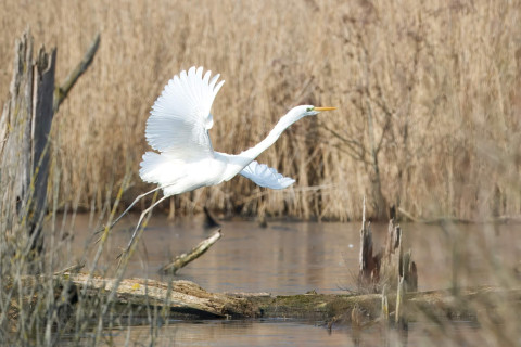 Rondje Zevenhuizerplas