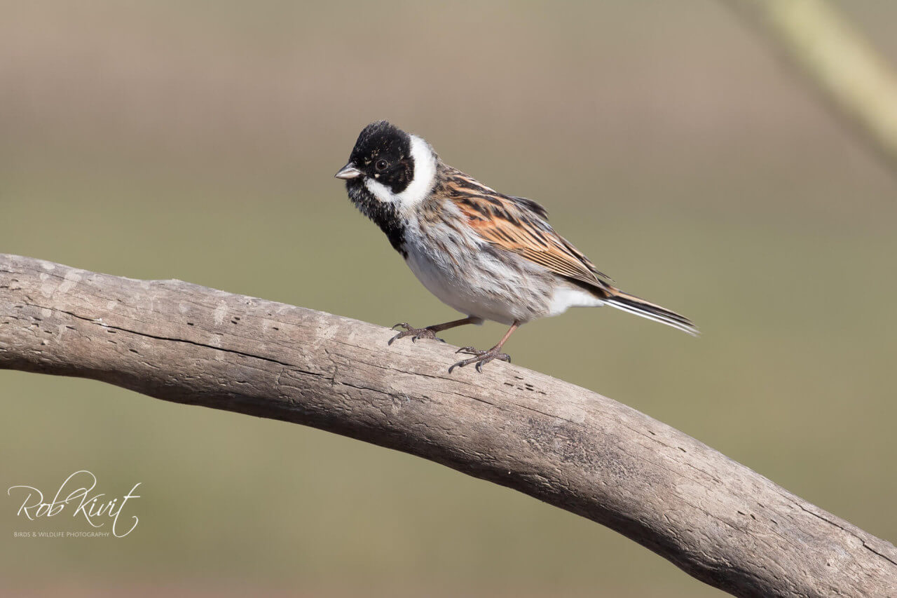 29AD92FD-321E-4AB6-9556-95C7245B2BD2