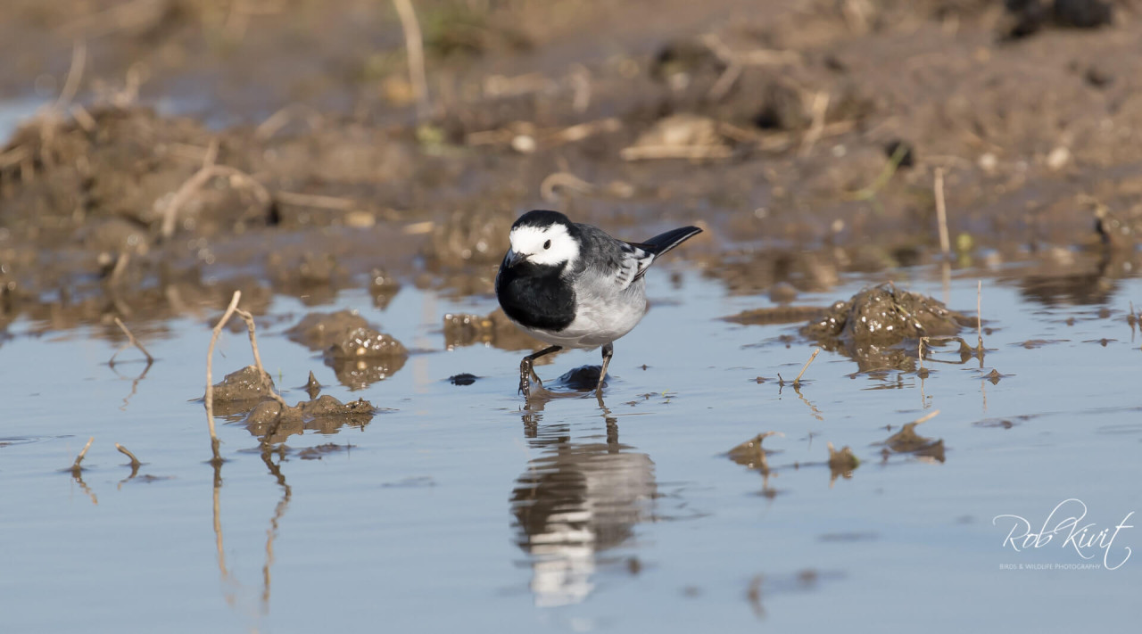 76260E5D-7C10-49CF-87BF-2A205C660318