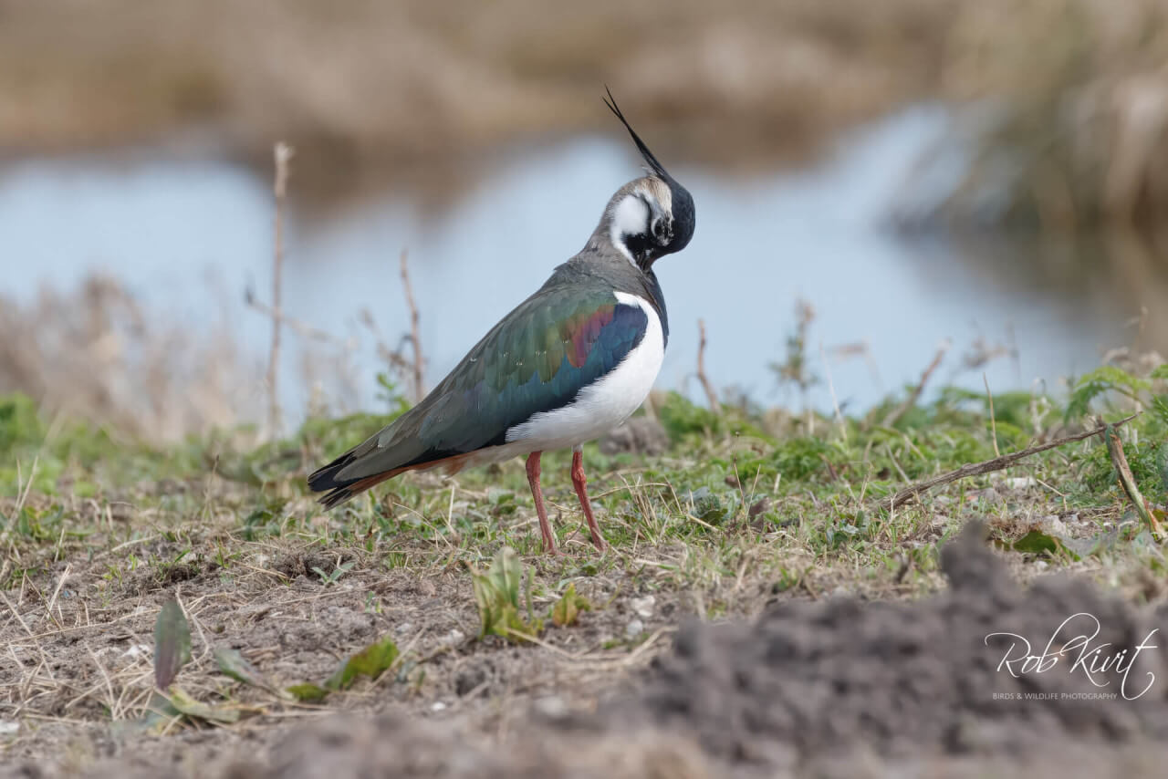 894A93D3-3A5F-4BEF-8639-B559BC054719