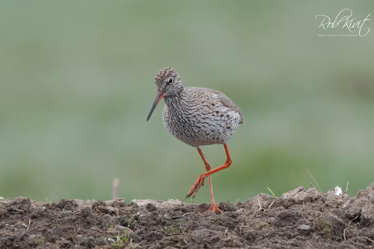 278F5D7C-2600-49BE-B3CF-C589C787FE06