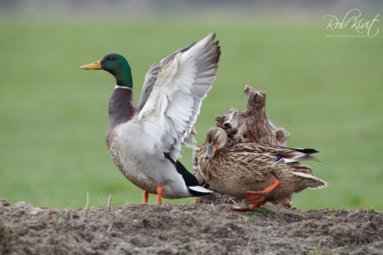 A526B61C-B708-4304-A0C1-65E6EA21212C