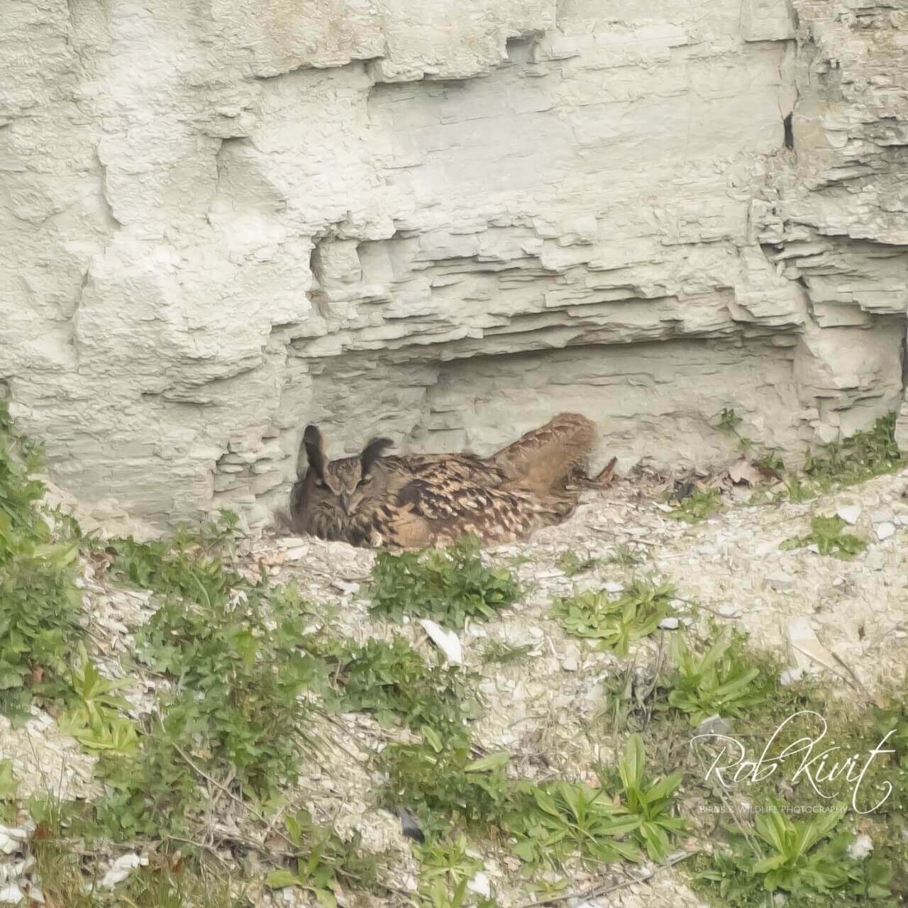 570F054E-81A2-418E-B30F-AB0FC7DA1601