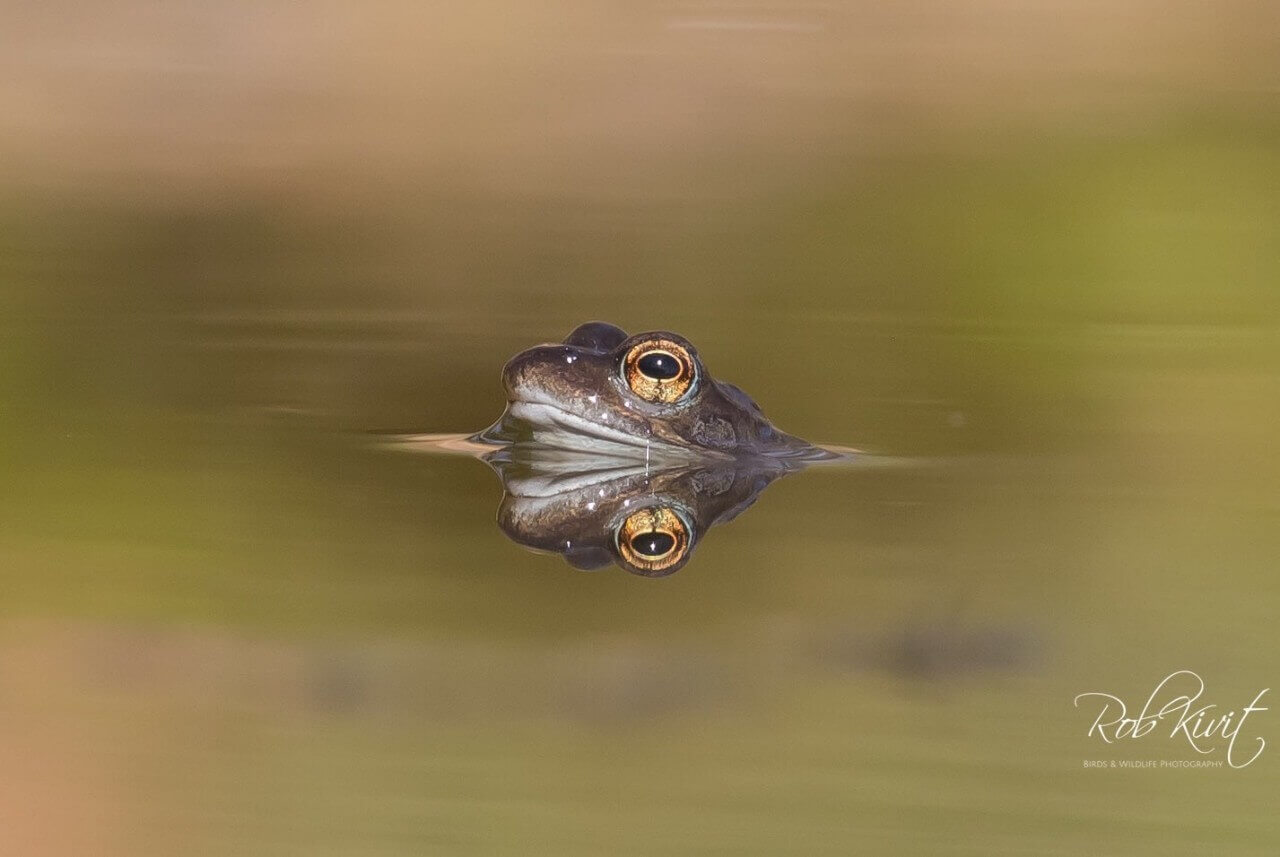 EC67B14A-D7F6-421A-8B8A-040A42F1BF80