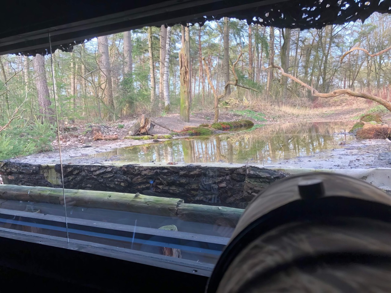 rlk_IMG_0066-Boshut_Lichterberg