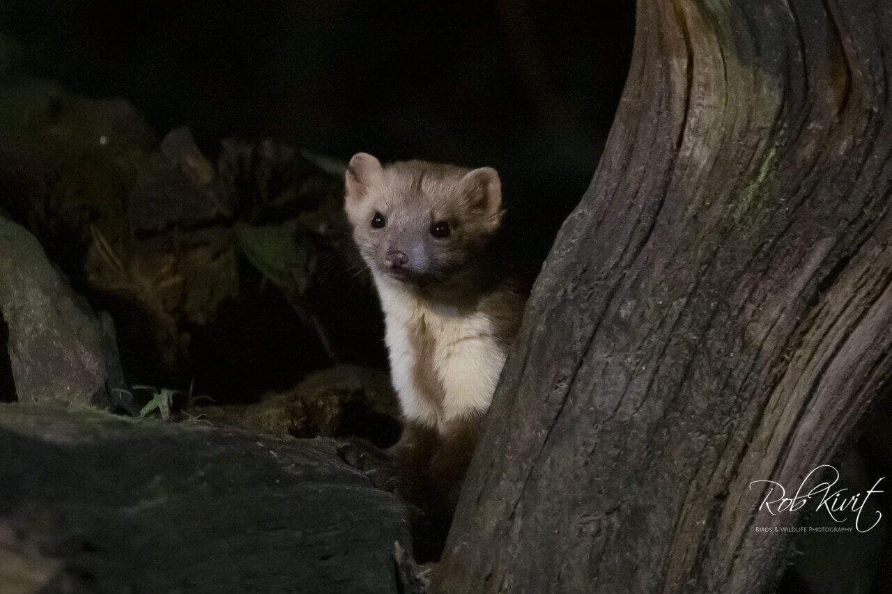 99ACB190-909B-43DF-A87E-60BBDDBE3E62