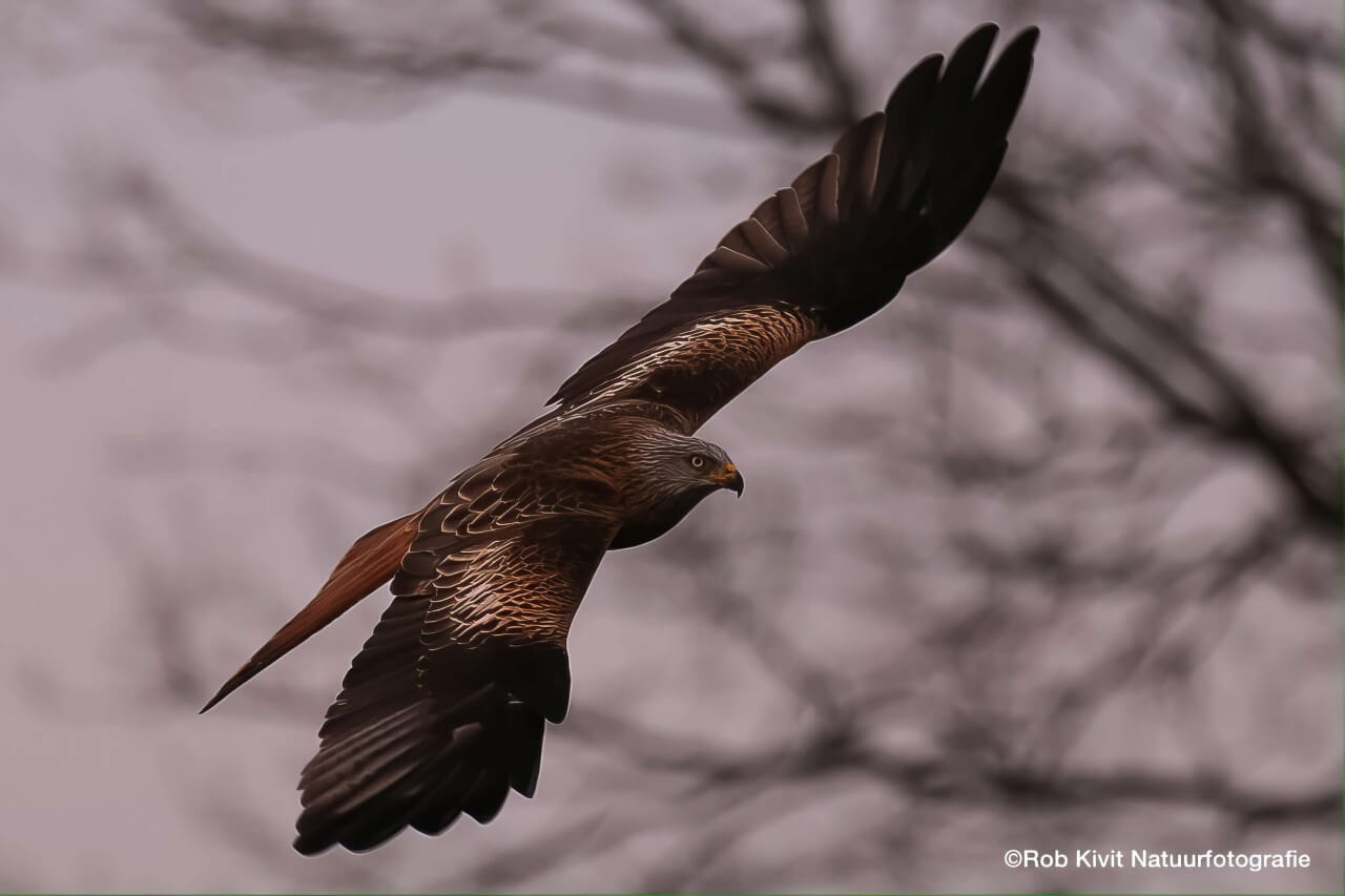 Fotohut Feldberg, Oost Duitsland