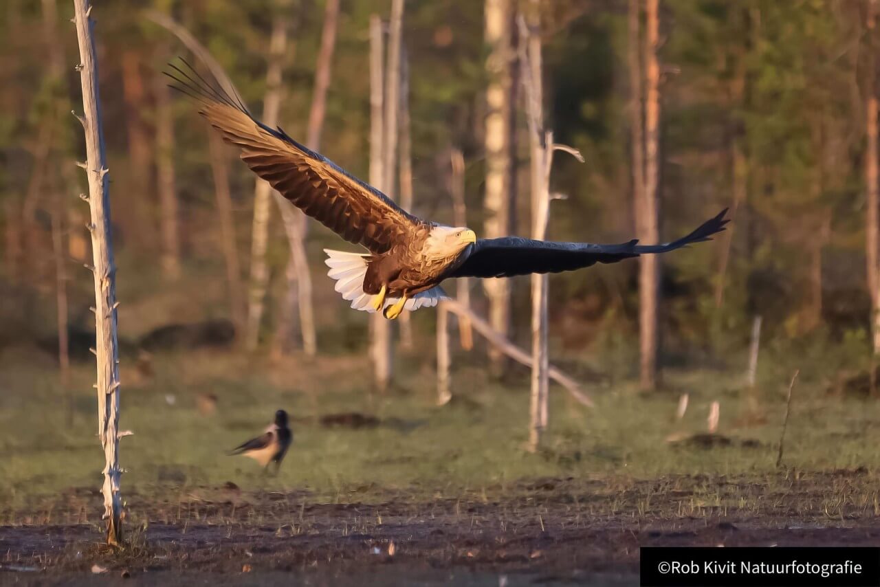 rlk_IMG_0001-Finland2018