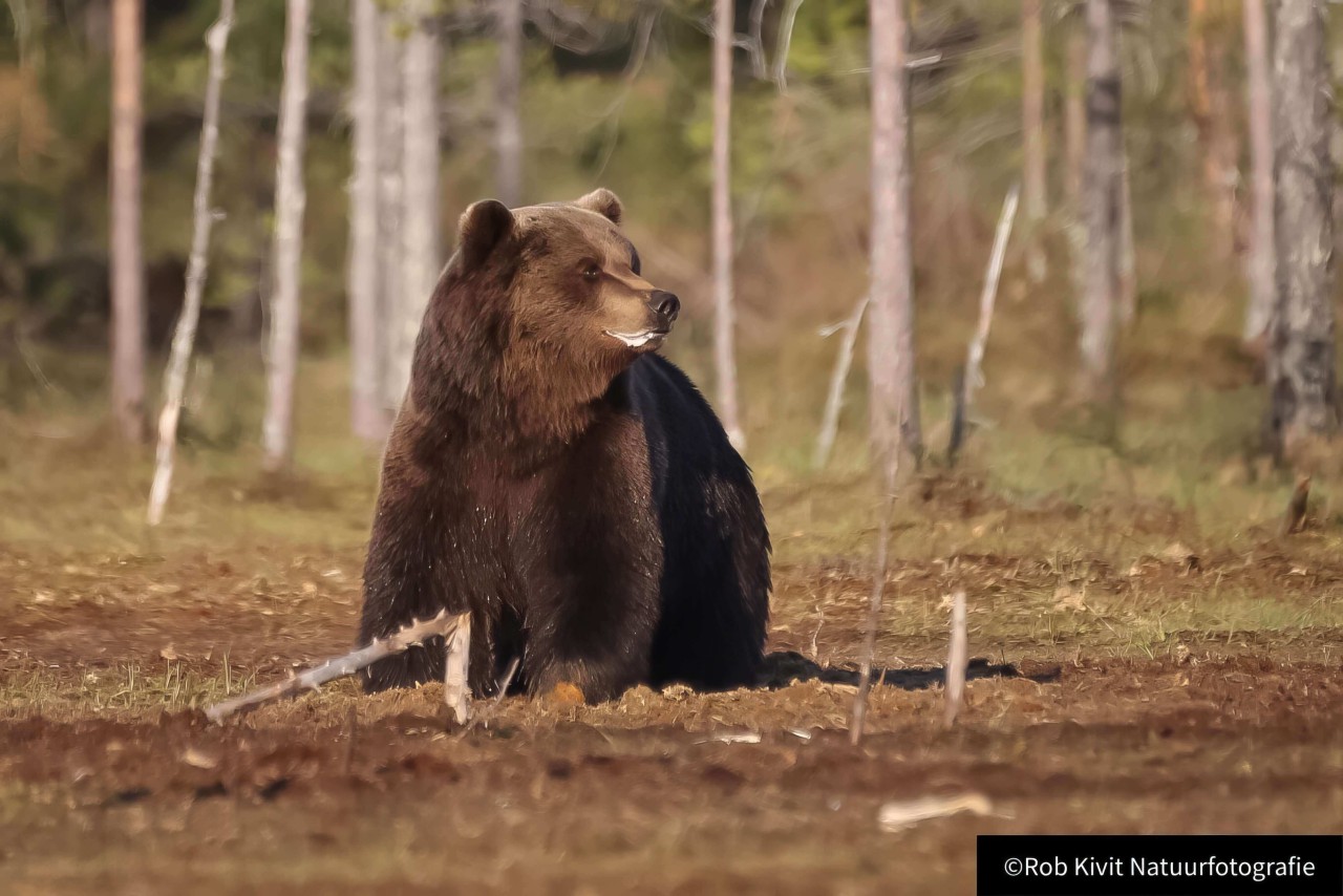 rlk_IMG_0035-Finland2018