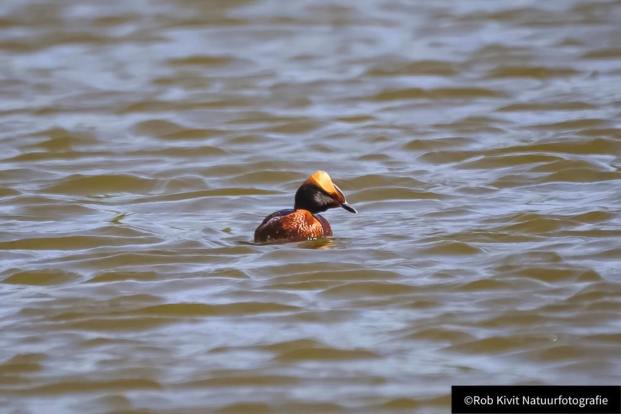 rlk_IMG_0127-Finland2018