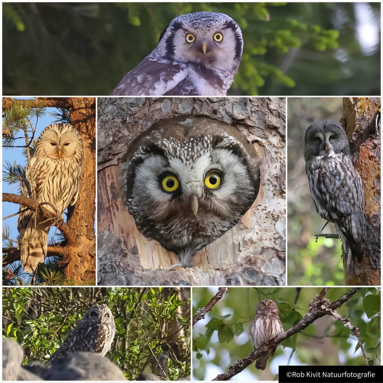 rlk_IMG_0211-Finland2018