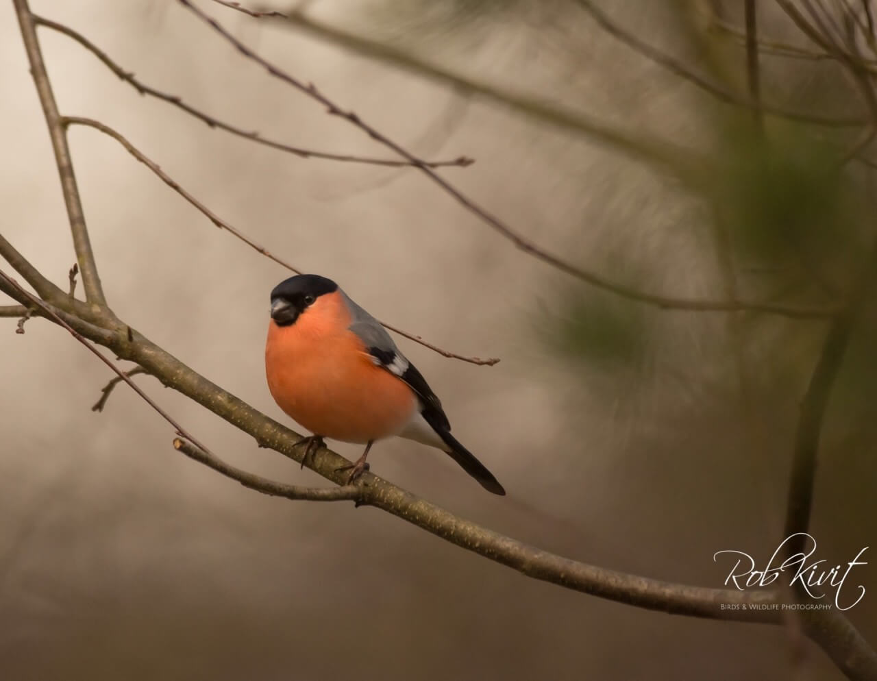 39B4967A-E23A-4EC5-B395-FF6DE048B2C1