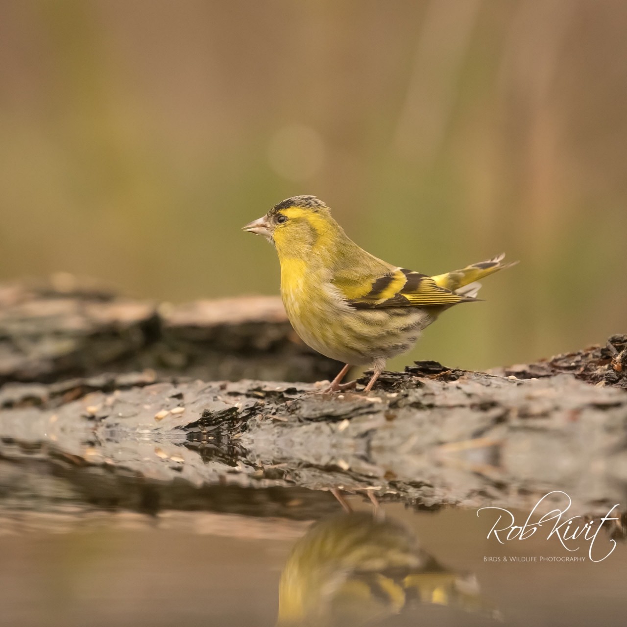 997BD4E7-2EA0-46D3-8EC9-8C6681FA9235