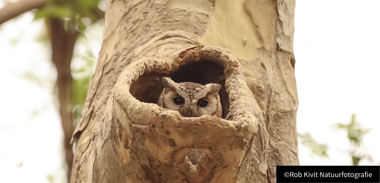 rlk_IMG_0186-India2019