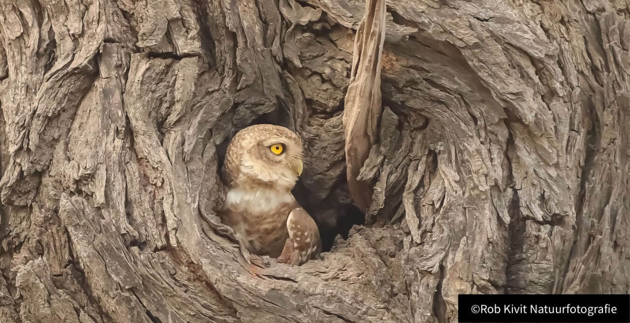 rlk_IMG_0215-India2019