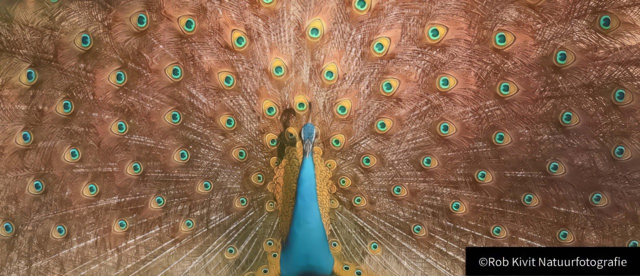 rlk_IMG_0287-India2019