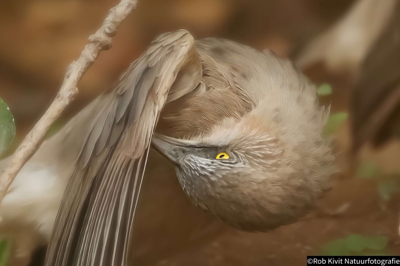 rlk_IMG_0411-India2019