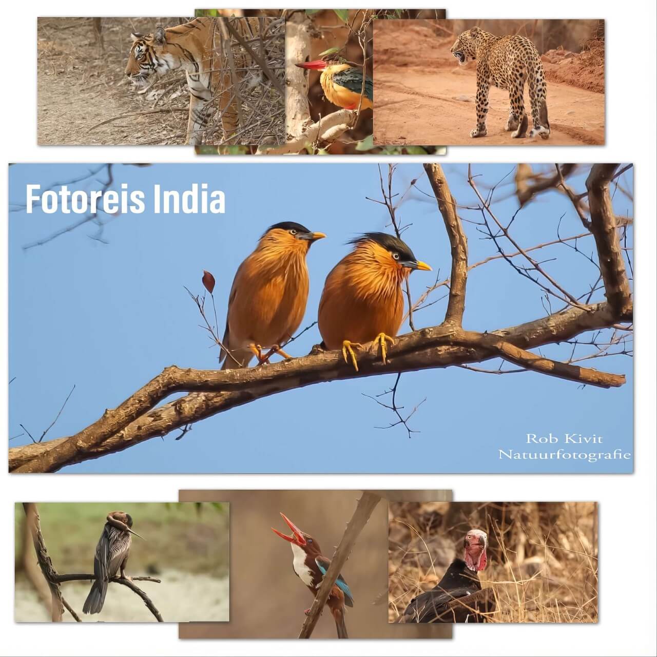 rlk_IMG_0452-India2019