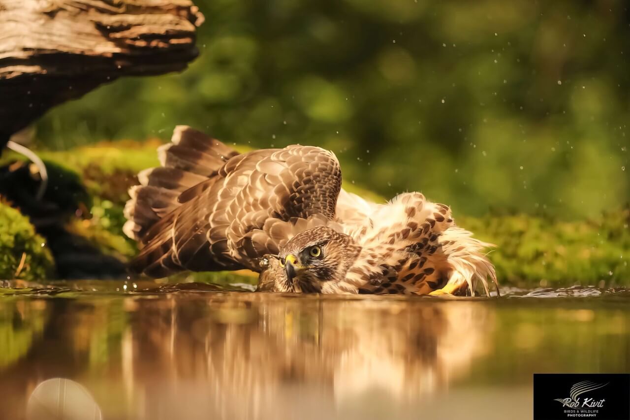 rlk_IMG_0036-NijverdalHBN8