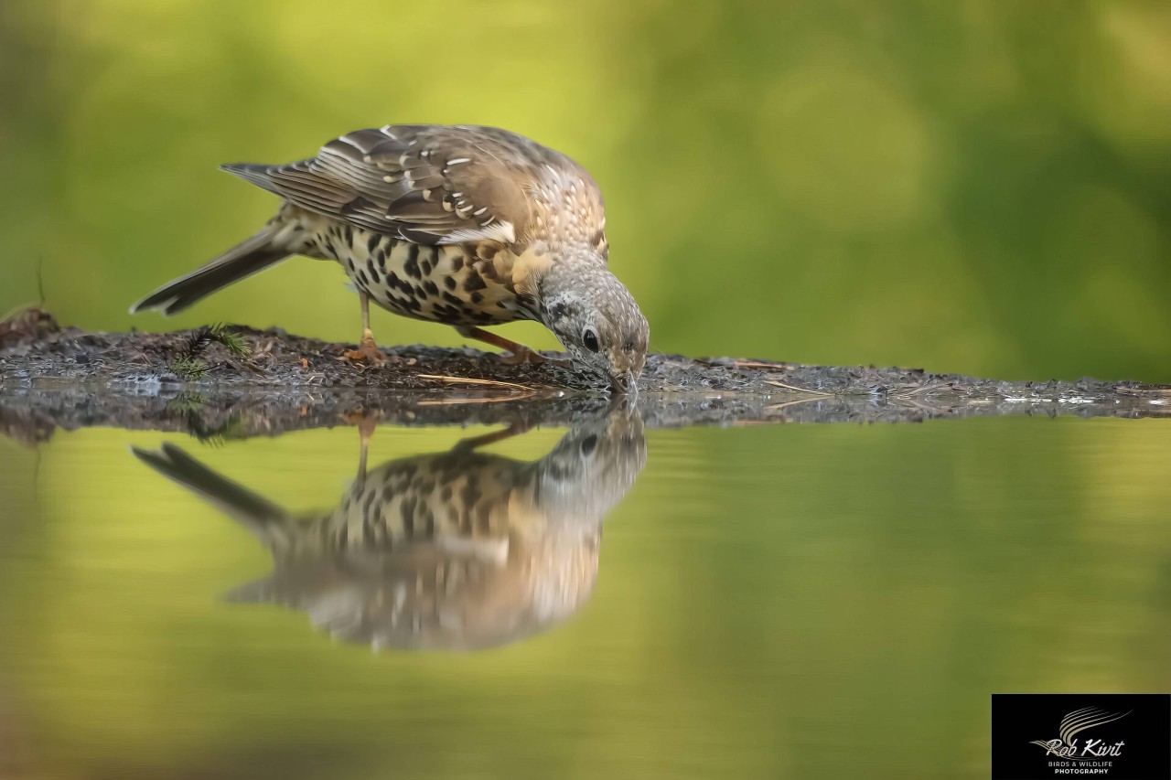 rlk_IMG_0090-NijverdalHBN8