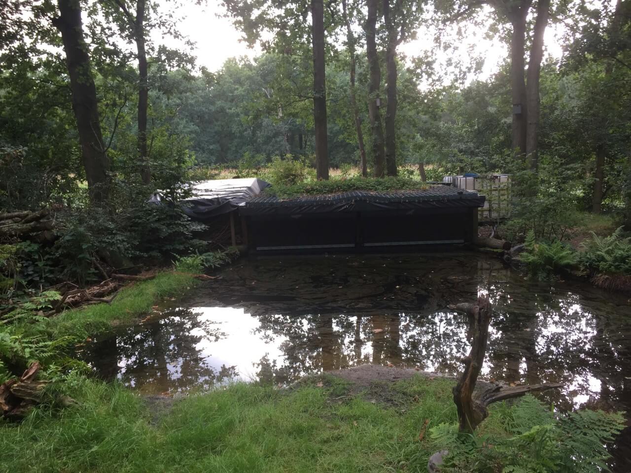 rlk_IMG_3553-RucphenseBossen-