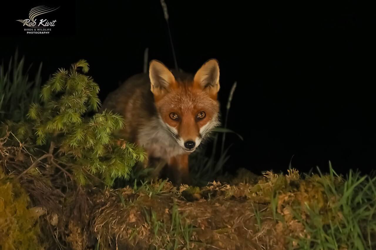 rlk_IMG_0014-Schotland2019-