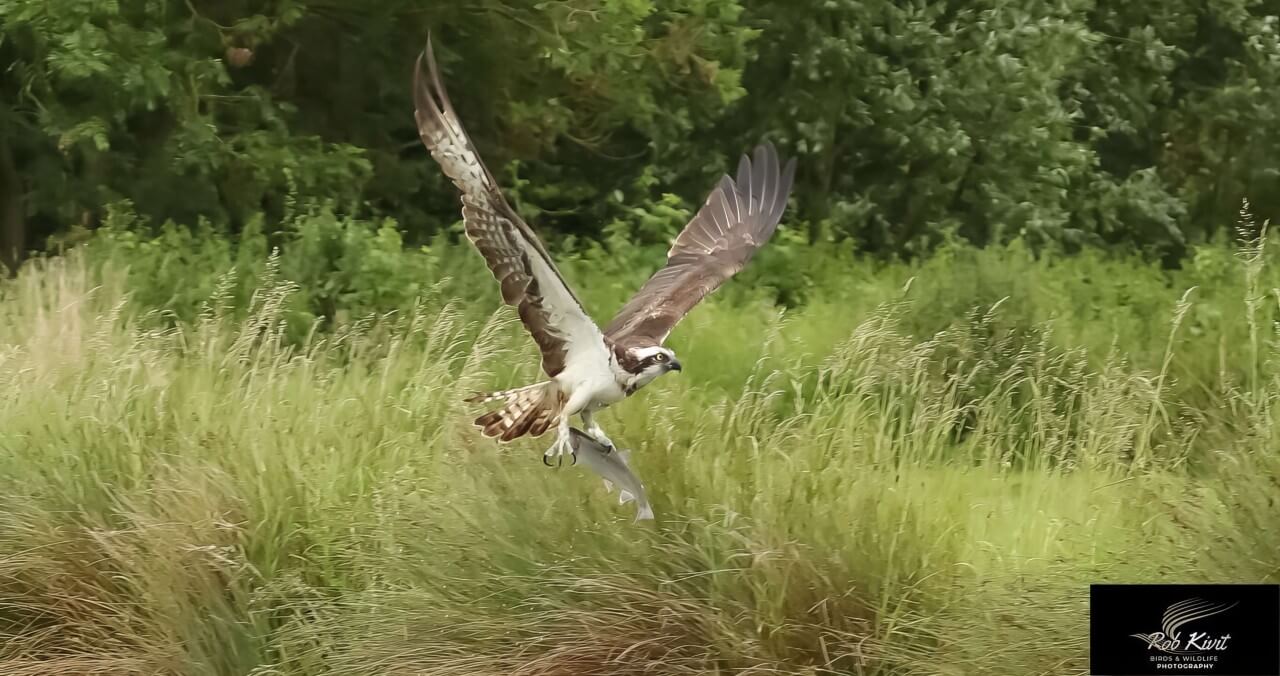 rlk_IMG_0048-Schotland2019-
