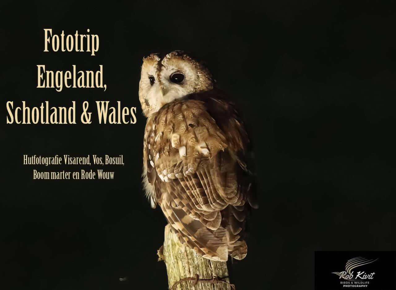 rlk_IMG_0091-Schotland2019-