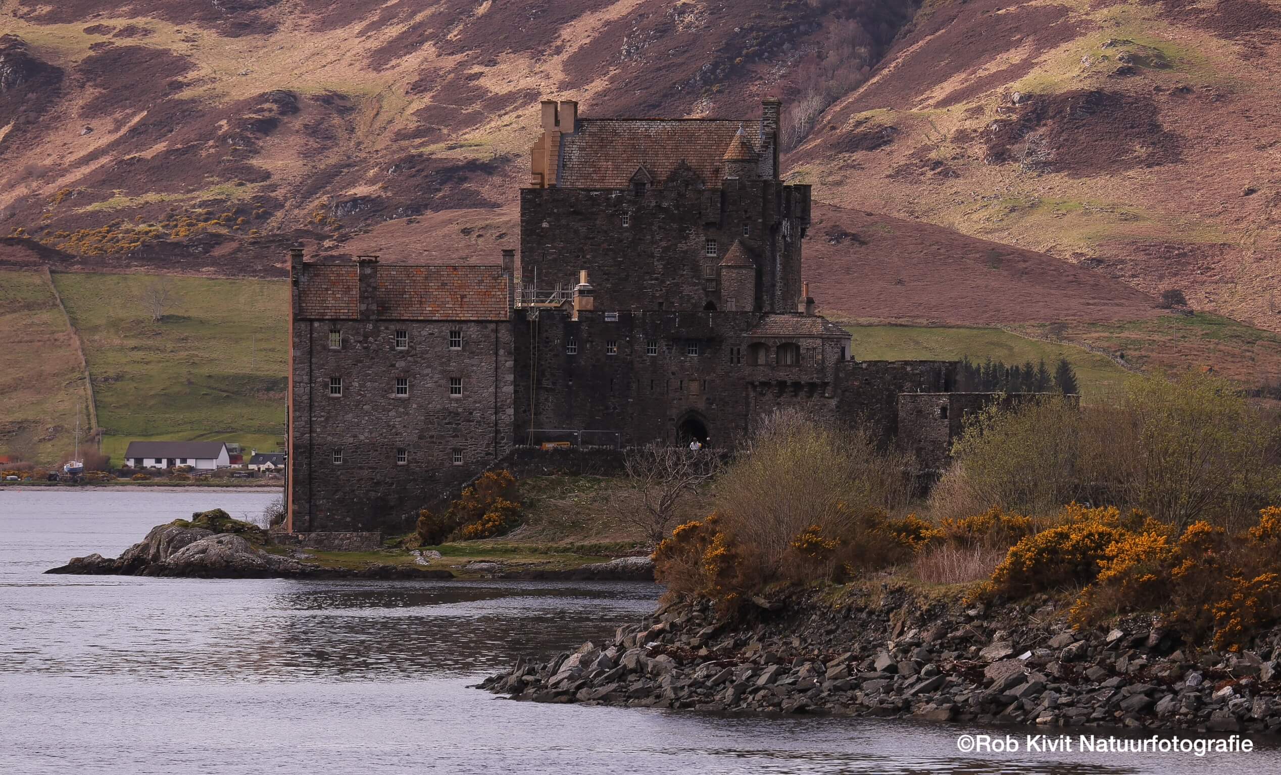 Dynamic Content Image