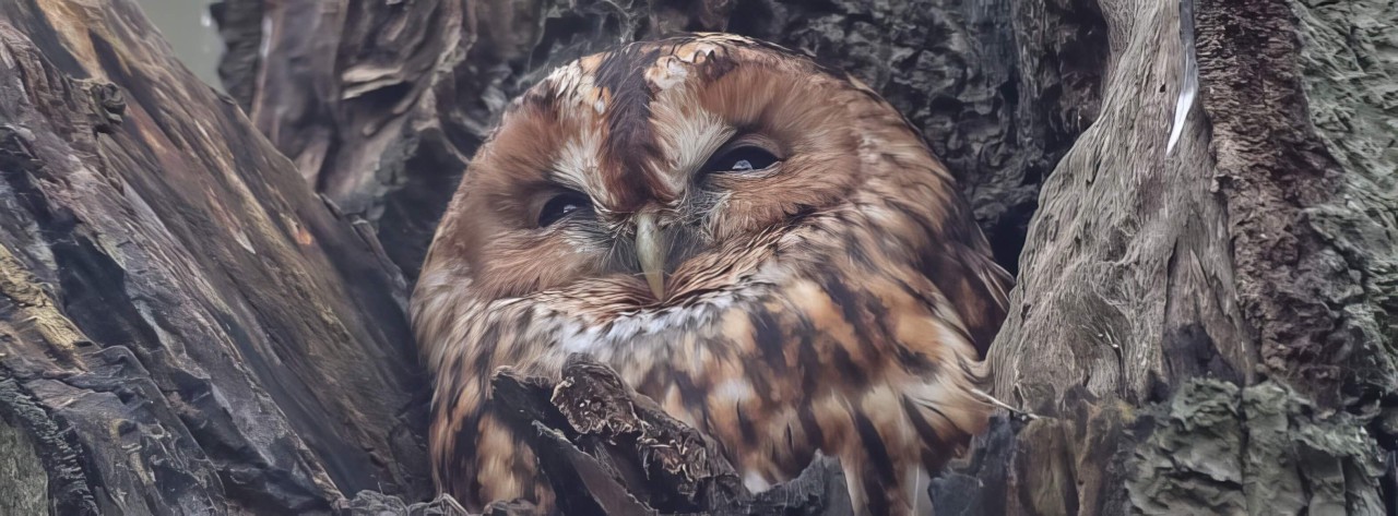 rlk_IMG_0033-Vogelen_met_Jochem-