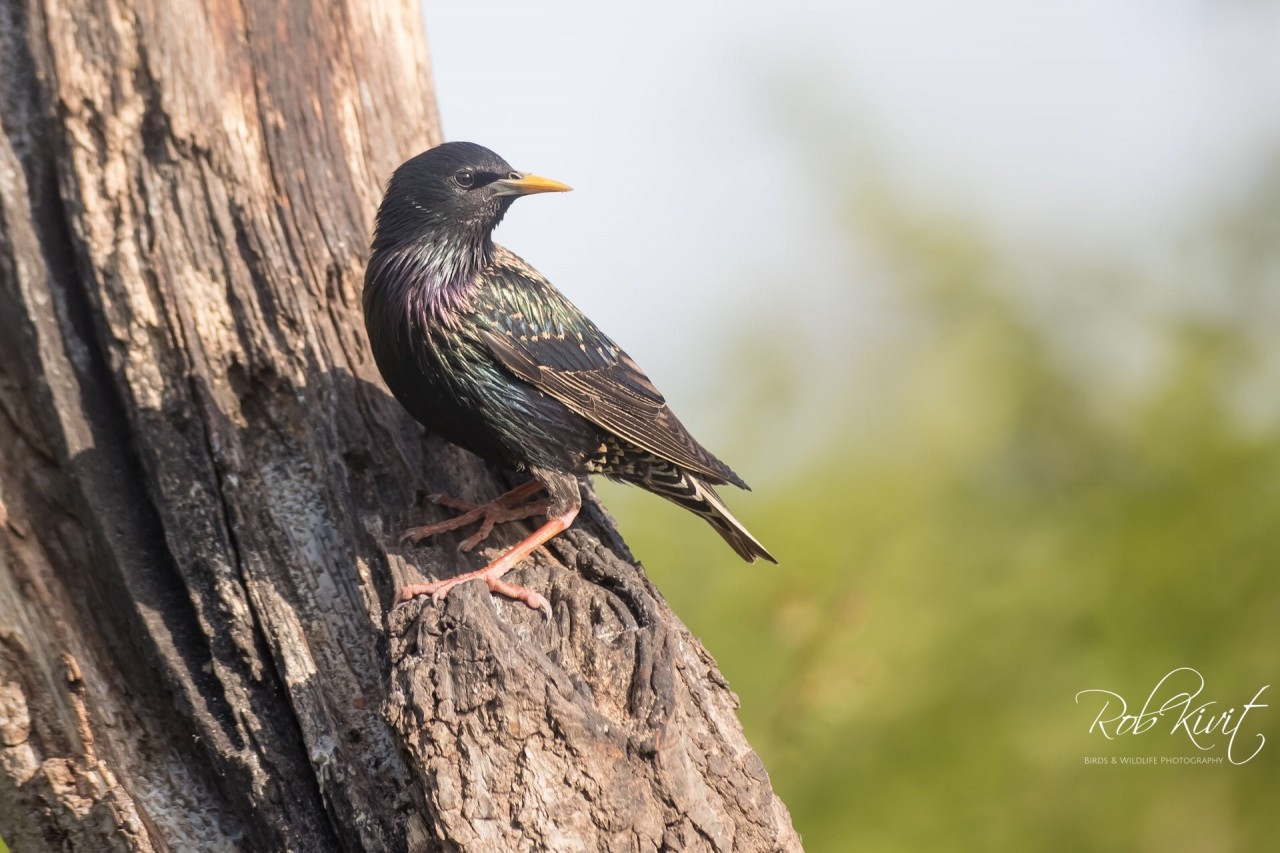 b2ap3_large_42EDCE6F-028F-4D28-A32B-DA5510944AC3