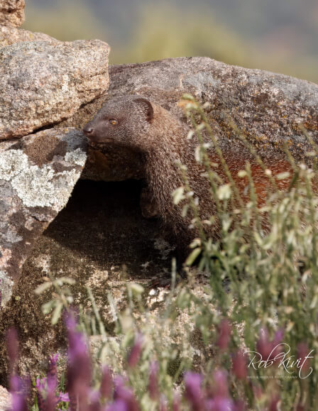 Fototrip Spanje 2026